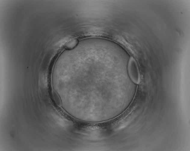 X0000111350203200907171149