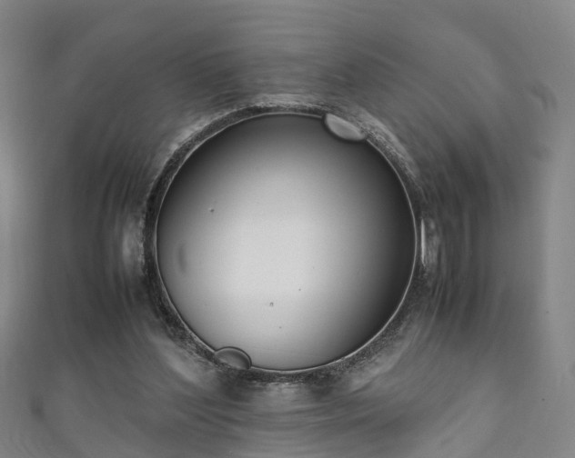 X0000111350204200907171149