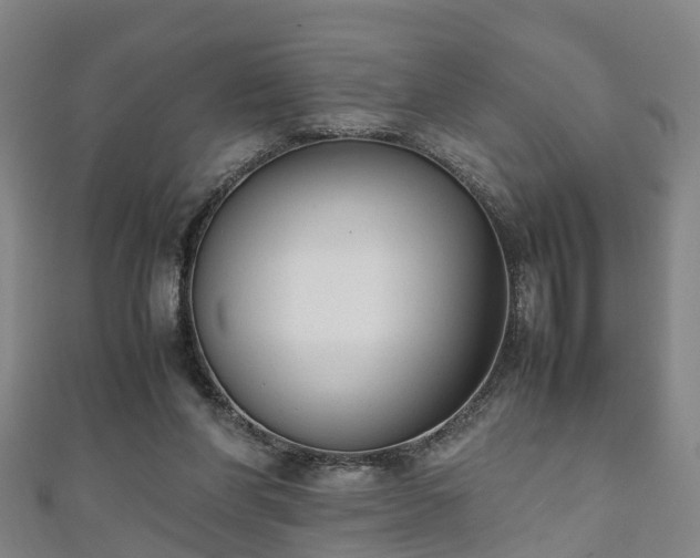 X0000111350206200907171149