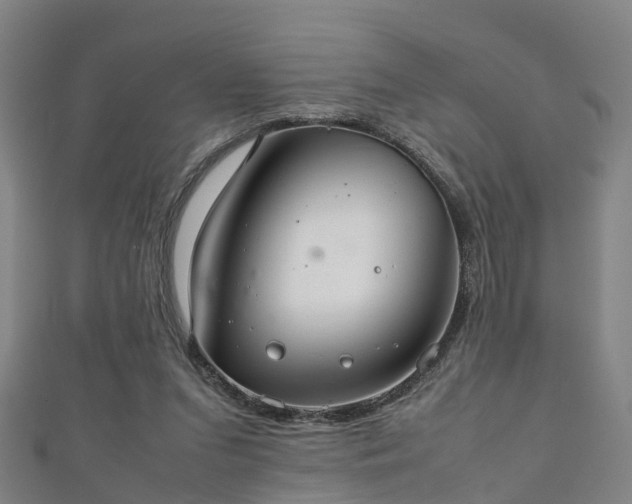 X0000111350207200907171149