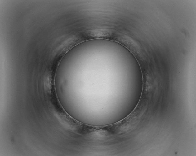 X0000111350210200907171149