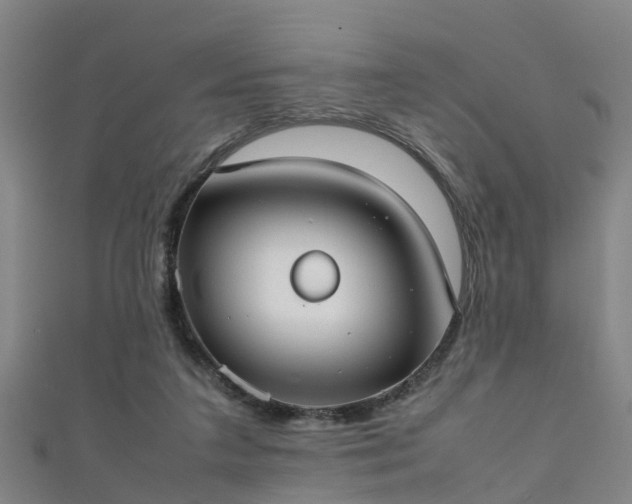 X0000111350211200907171149