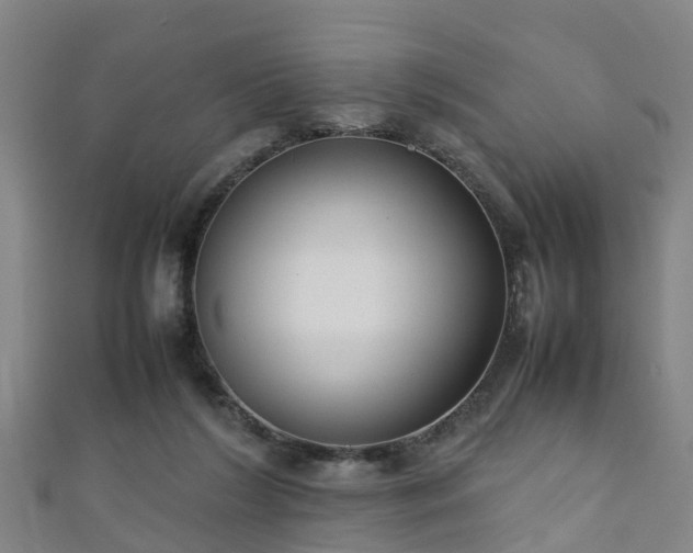 X0000111350212200907171149