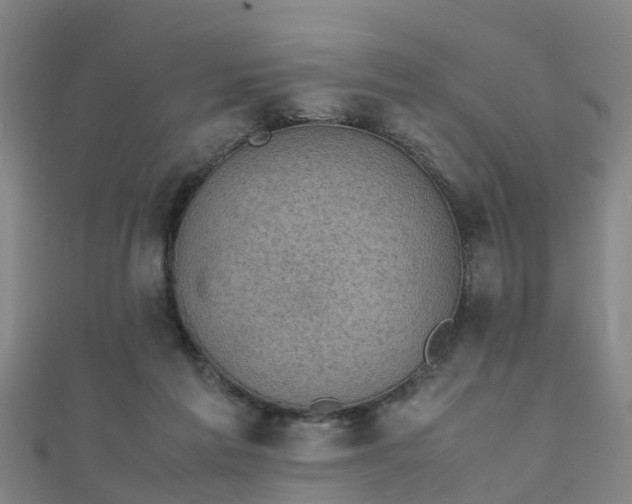 X0000111350213200907171149