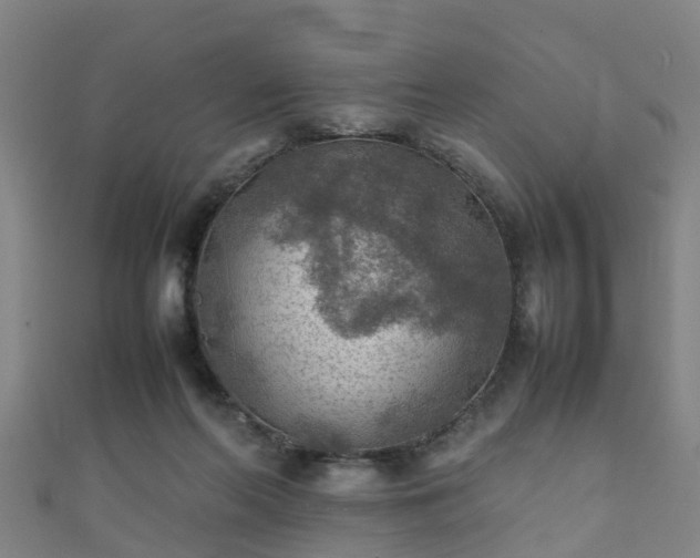 X0000111350214200907171149