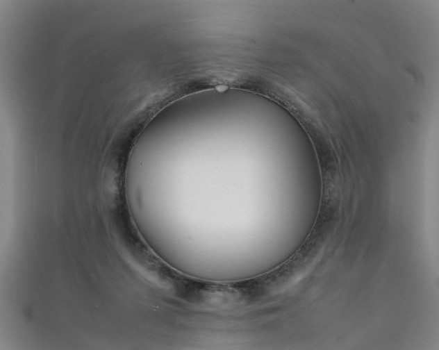 X0000111350215200907171149