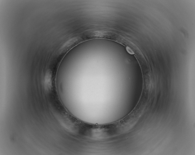 X0000111350216200907171149