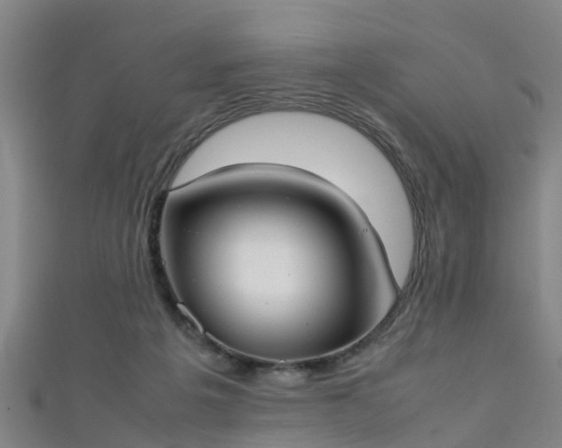 X0000111350217200907171149