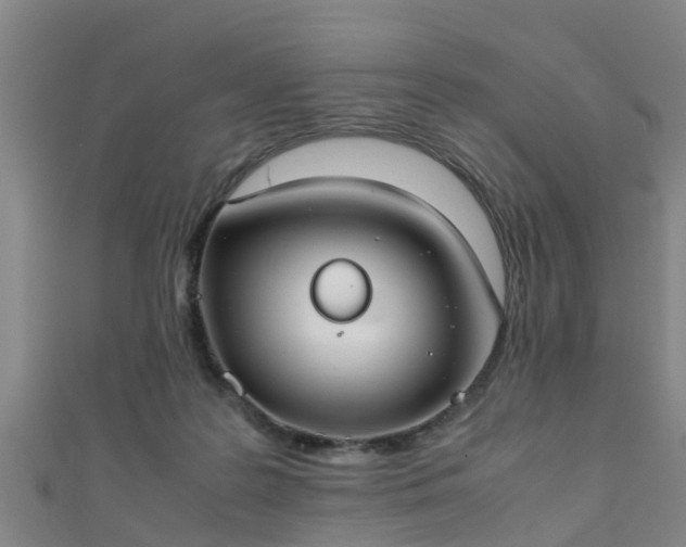 X0000111350219200907171149