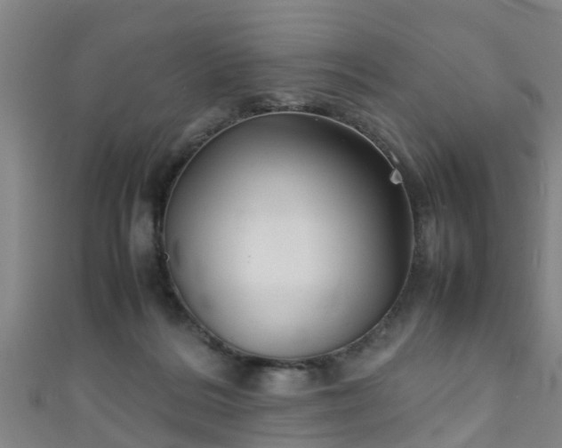 X0000111350220200907171149