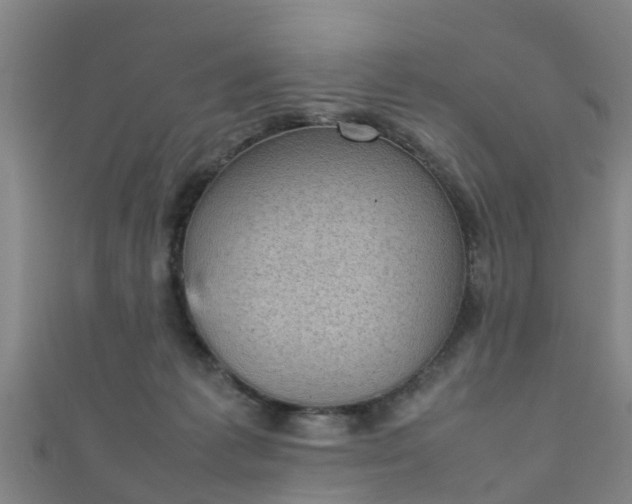 X0000111350221200907171149