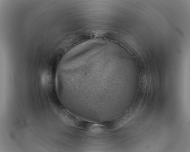 X0000111350222200907171149