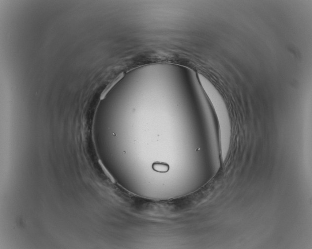 X0000111350223200907171149