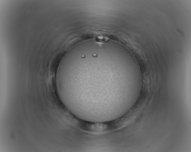 X0000111350225200907171149