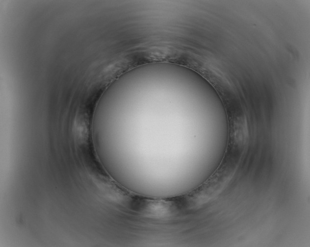 X0000111350226200907171149