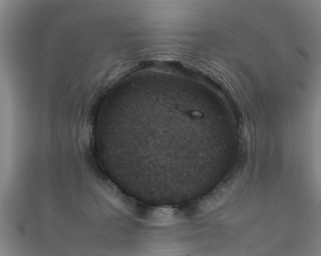 X0000111350227200907171149