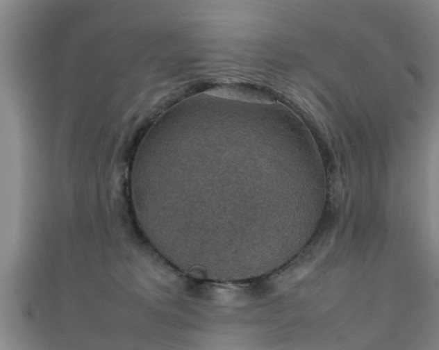 X0000111350229200907171149