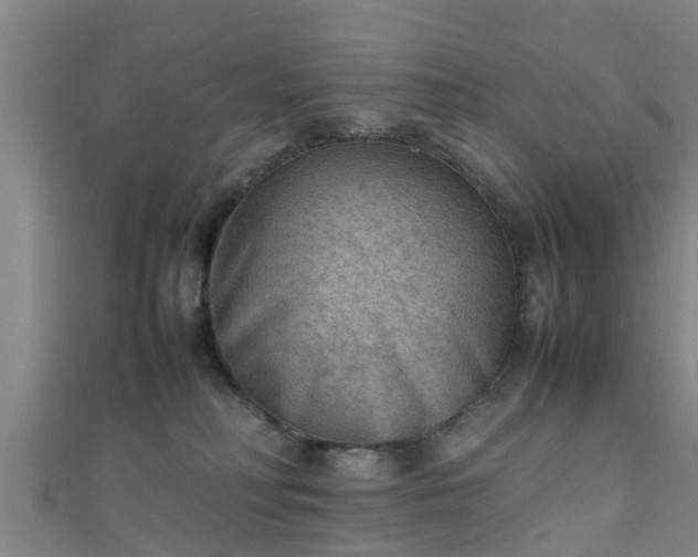 X0000111350230200907171149