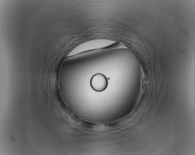 X0000111350231200907171149