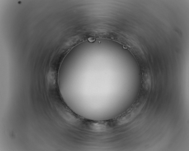 X0000111350232200907171149