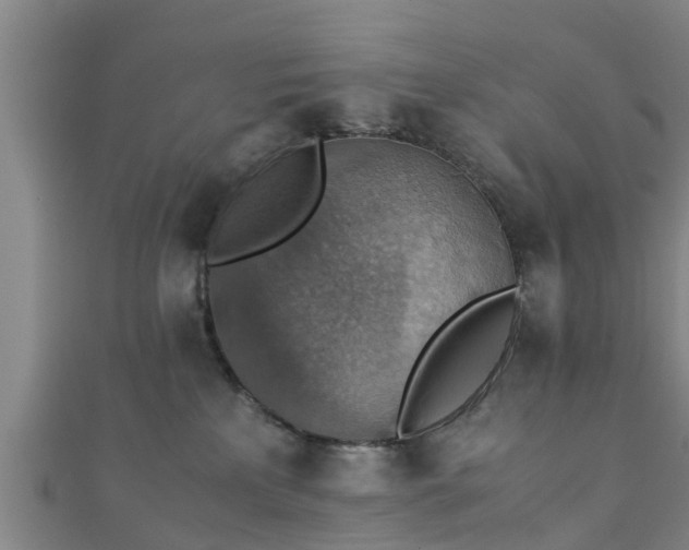 X0000111350233200907171149