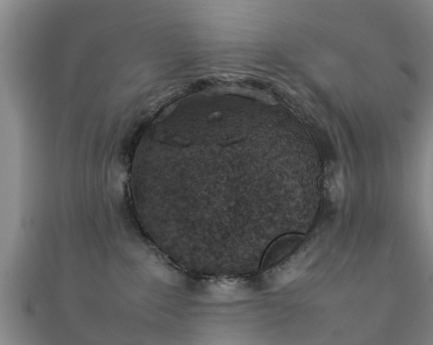 X0000111350235200907171149