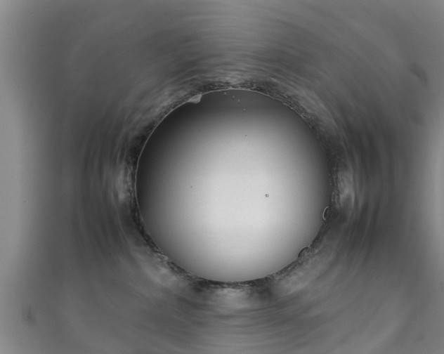 X0000111350236200907171149