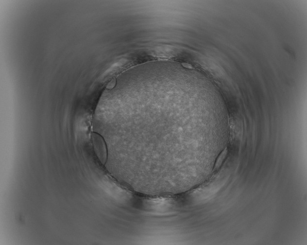 X0000111350237200907171149