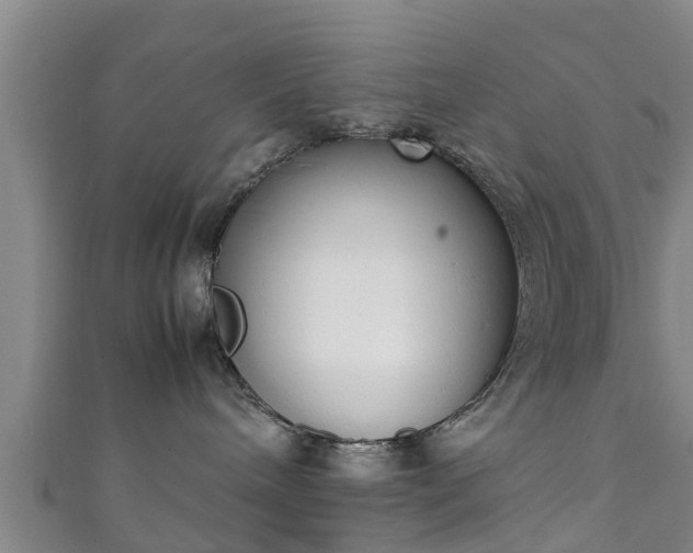 X0000111350240200907171149