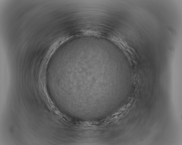 X0000111350241200907171148