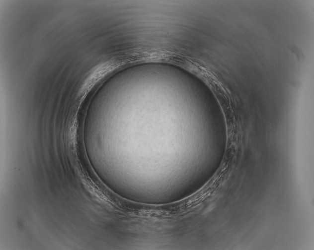 X0000111350242200907171148