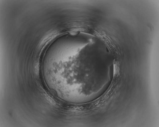 X0000111350243200907171148