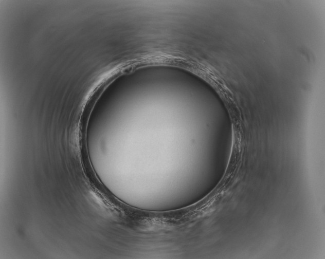 X0000111350244200907171148