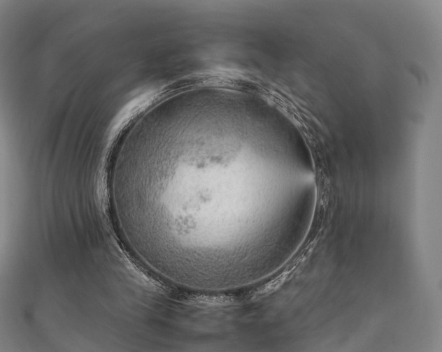 X0000111350245200907171148