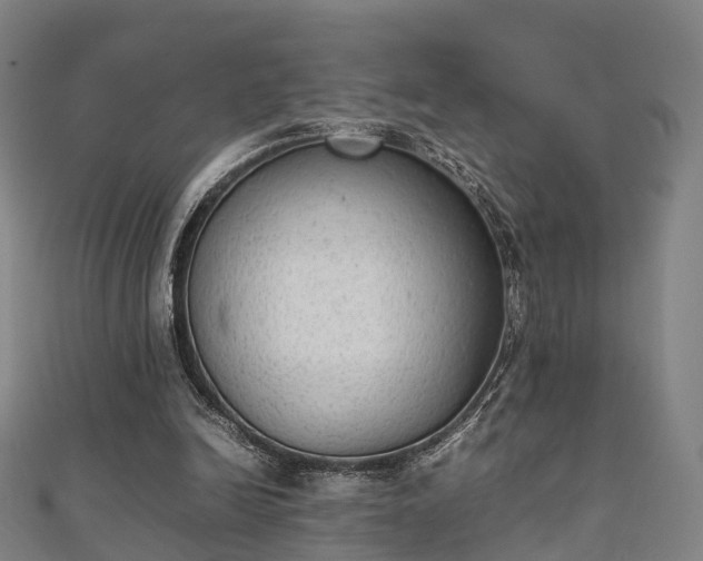 X0000111350246200907171148