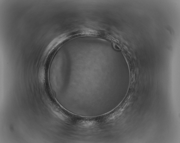 X0000111350247200907171148