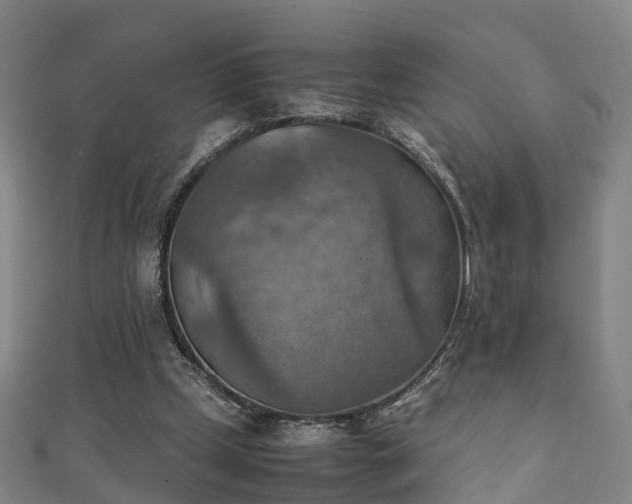 X0000111350249200907171148