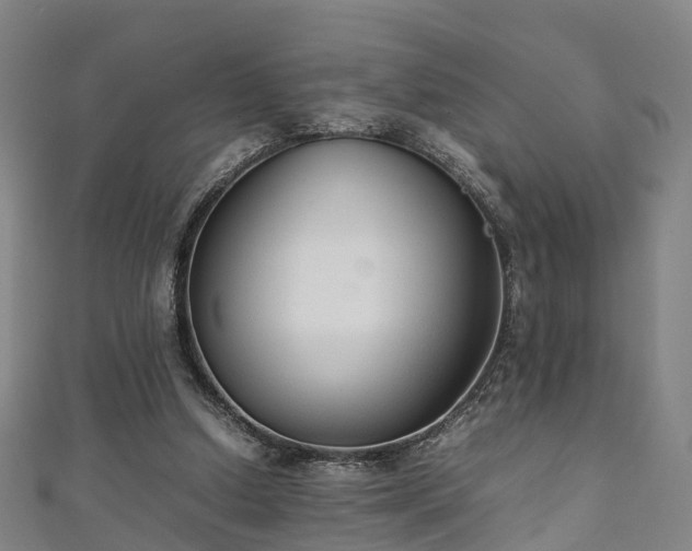 X0000111350250200907171148