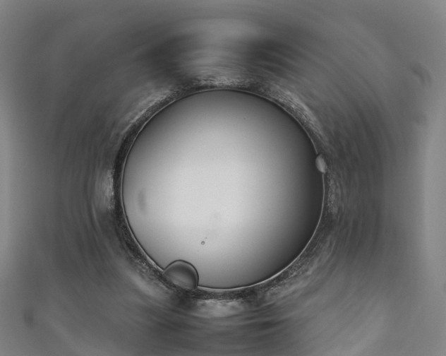 X0000111350251200907171149