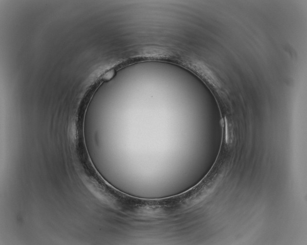 X0000111350252200907171149