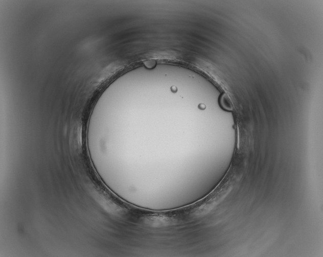 X0000111350253200907171149