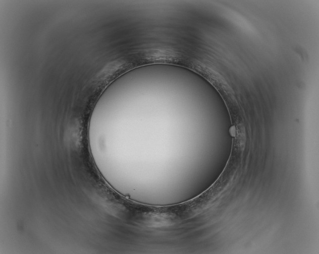 X0000111350255200907171149