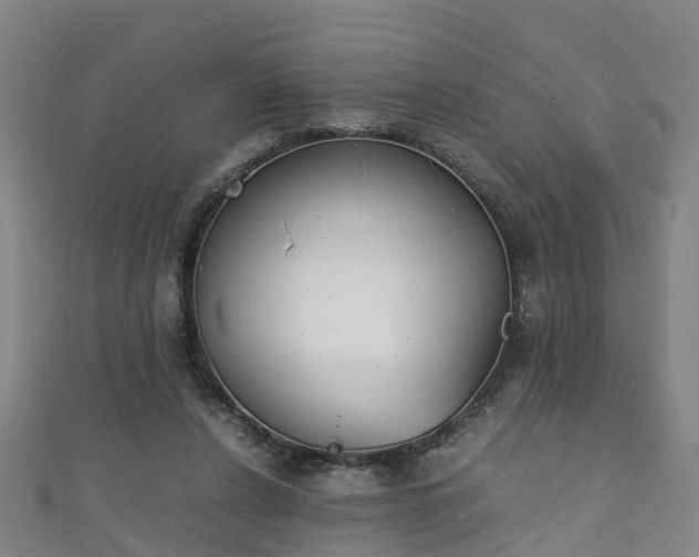 X0000111350256200907171149