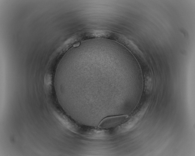 X0000111350260200907171149