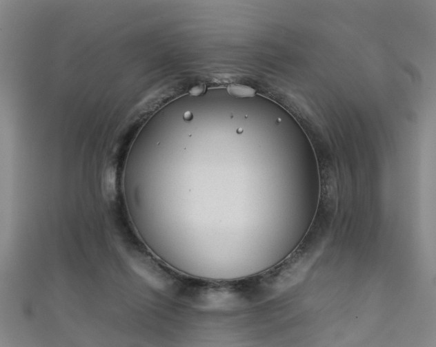 X0000111350262200907171149