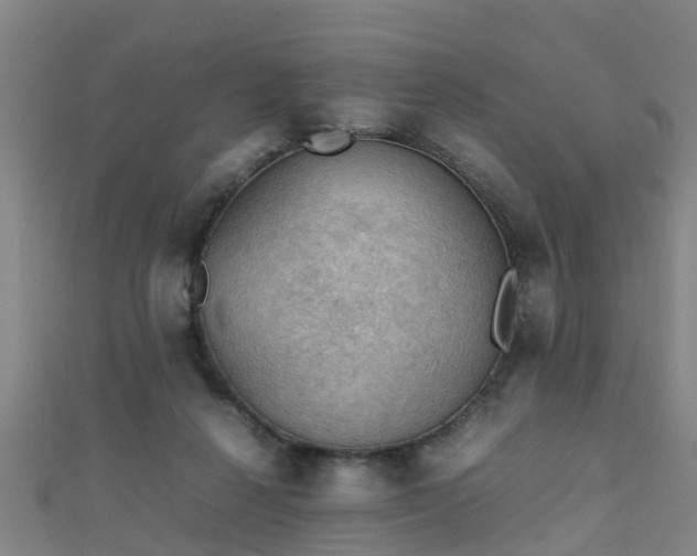 X0000111350264200907171149