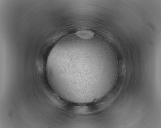 X0000111350266200907171149