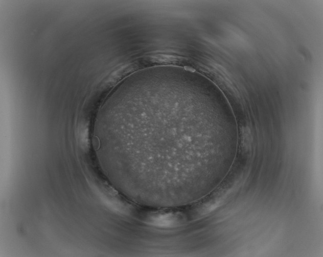 X0000111350267200907171149