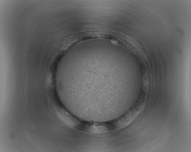 X0000111350270200907171149