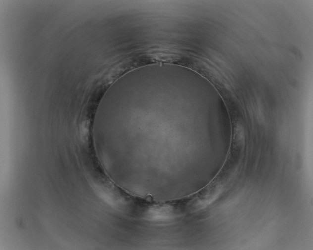 X0000111350271200907171149